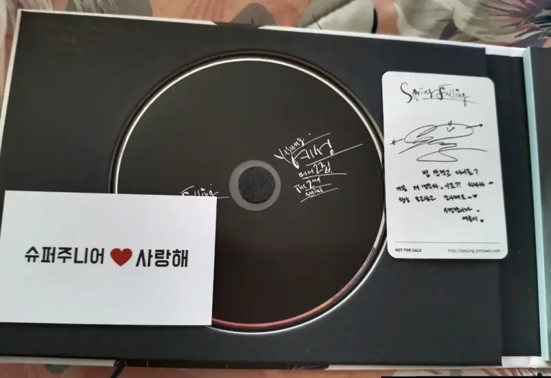 Álbum Spring Falling de Yesung - 4