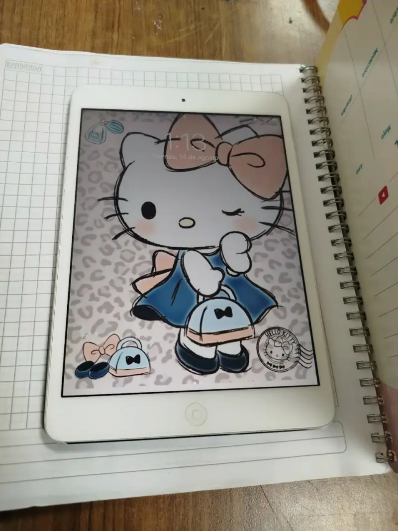 iPad Mini Apple en buen estado - 7