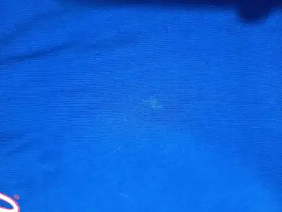 Polera NASCAR Racing Daytona 500 azul - miniatura 3