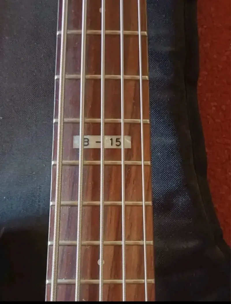 Bajo eléctrico LTD con amplificador Fender - 5