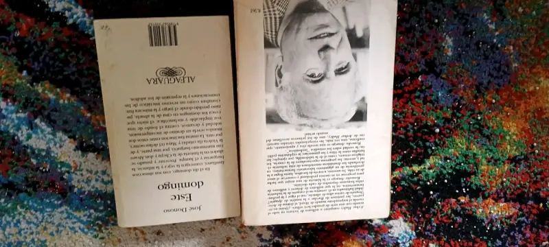 Pack de libros 'Remedio Amargo' y 'Este Domingo' - 2