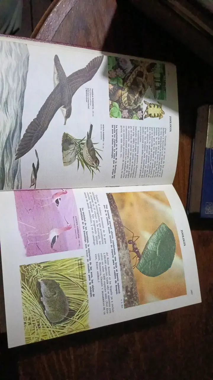 Libro de Ciencias Naturales con Ilustraciones - 2