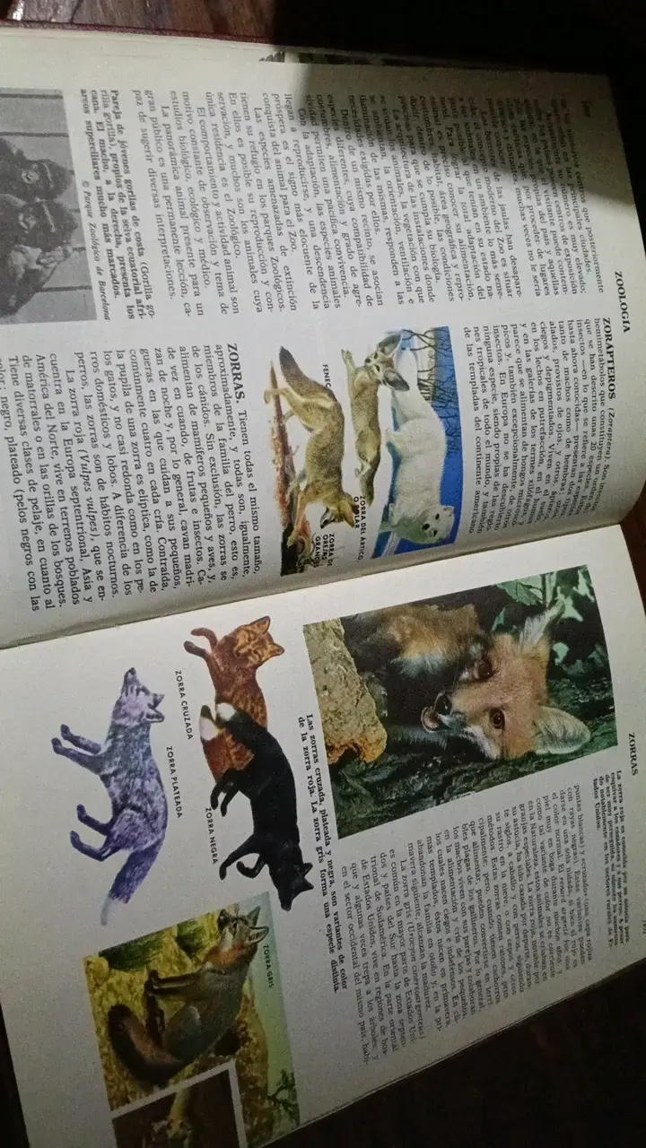 Libro de Ciencias Naturales con Ilustraciones - 3