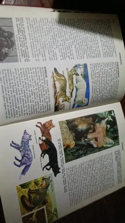 Libro de Ciencias Naturales con Ilustraciones - miniatura 3