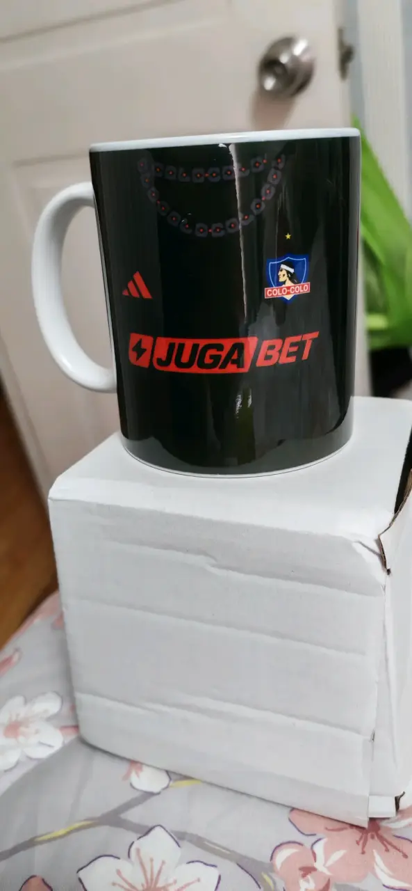 Tazón Colo-Colo VOZINHA - 4