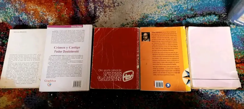 Lote de libros clásicos variados - 2