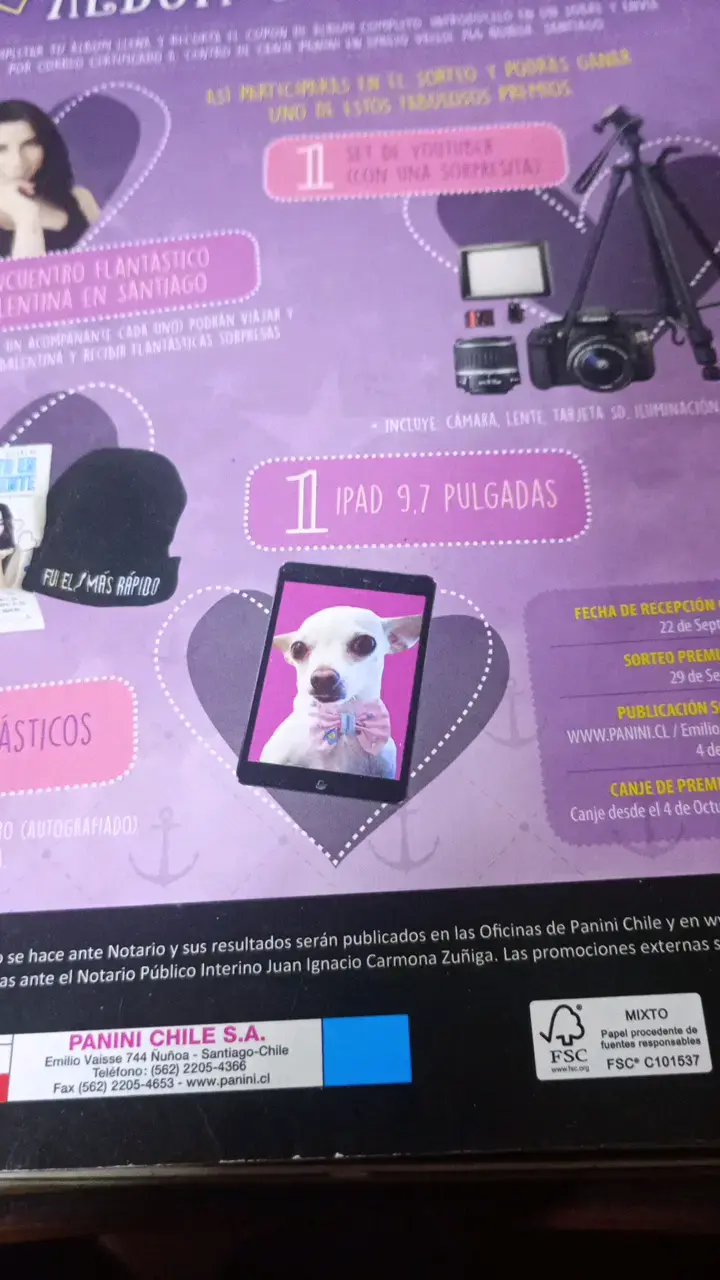 Álbum de Balentina Villagra Panini - 2