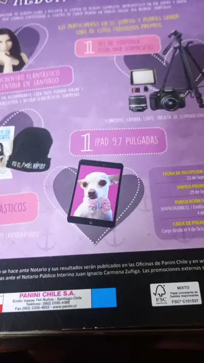 Álbum de Balentina Villagra Panini - miniatura 2