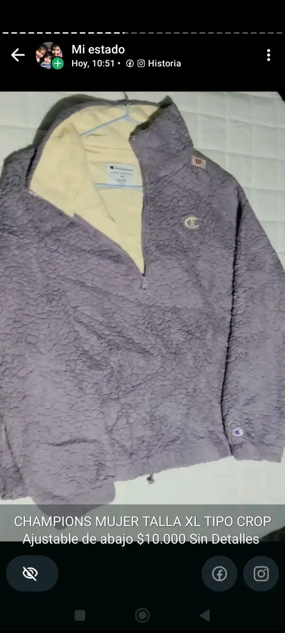 Polerón Champion Mujer Talla XL Morado