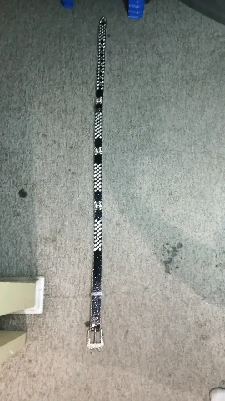 Cinturón negro con brillantes y hebilla decorativa