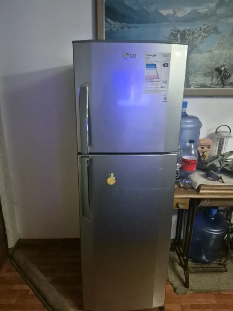 Refrigerador LG de dos puertas en buen estado - 1