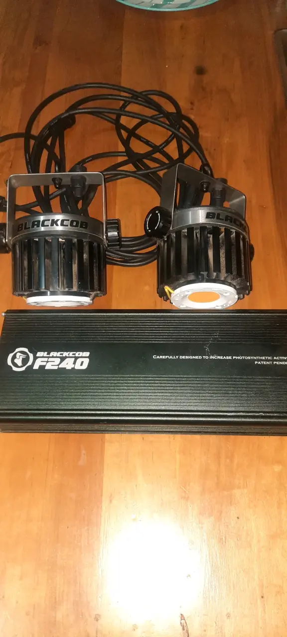 Luces LED BlackCob F240 para cultivo