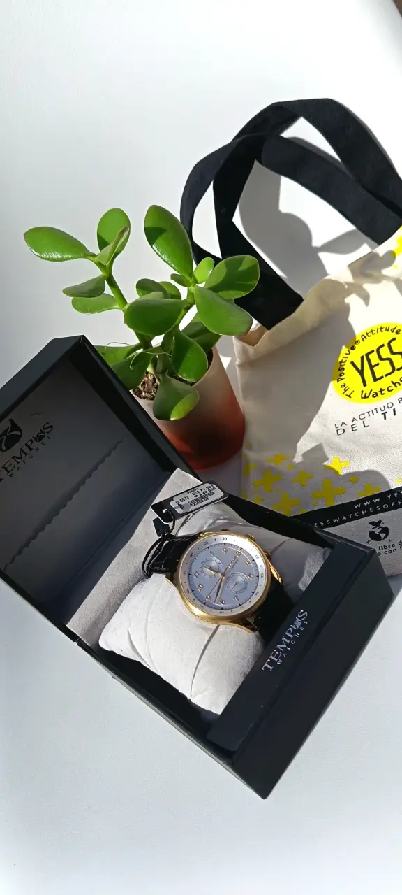 Reloj Tempus de hombre dorado con correa negra
