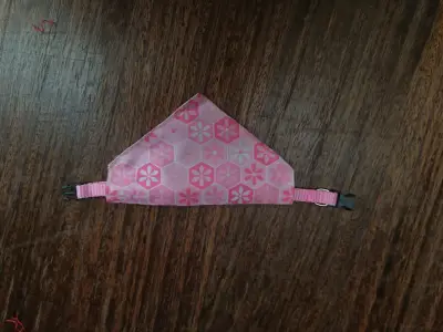 Accesorios para mascota - miniatura 3