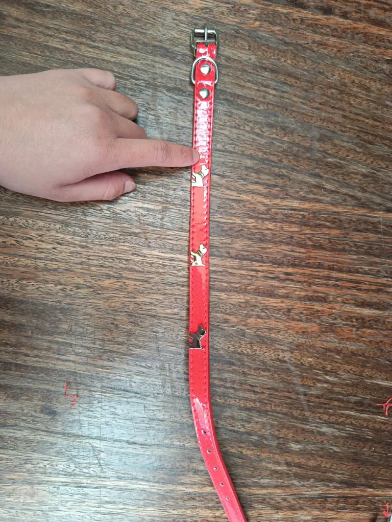 Accesorios para mascota - 4