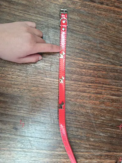 Accesorios para mascota - miniatura 4