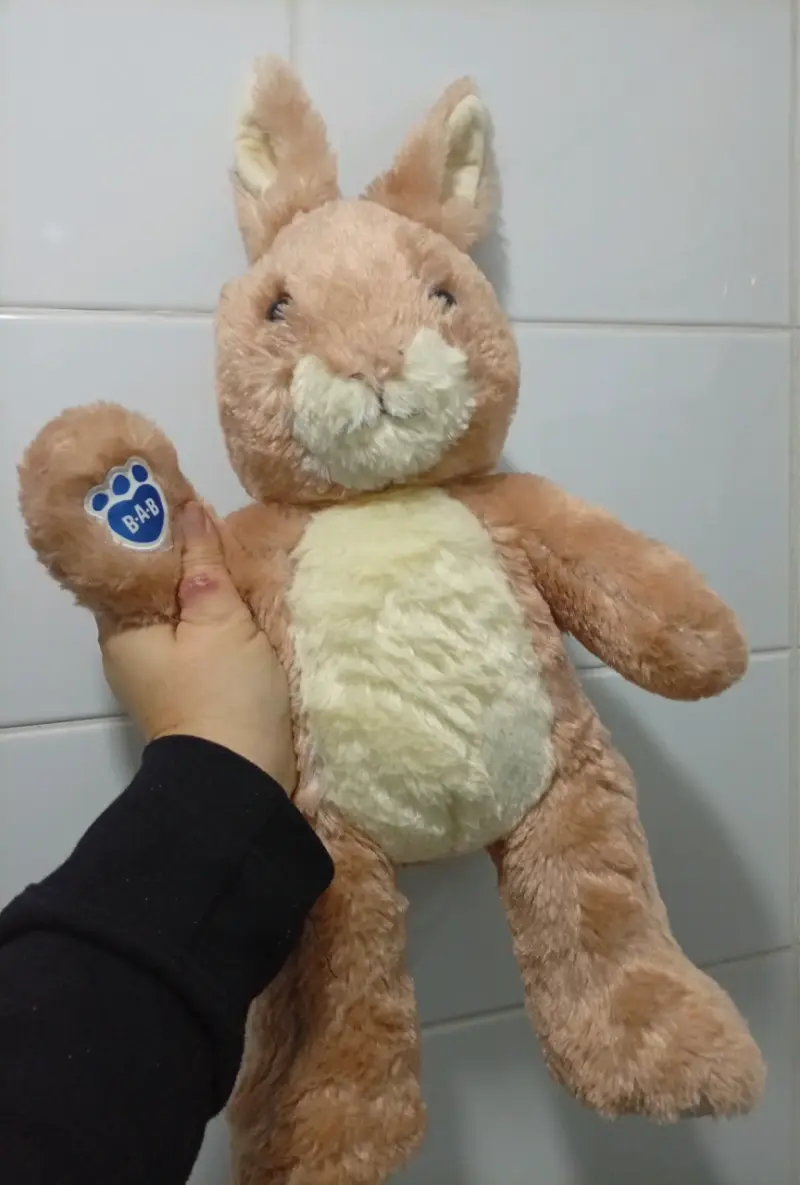 bab Peluche conejo Peter Rabbit suave y tierno - 2