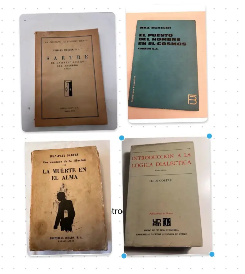 Lote de Libros Filosofía - 1