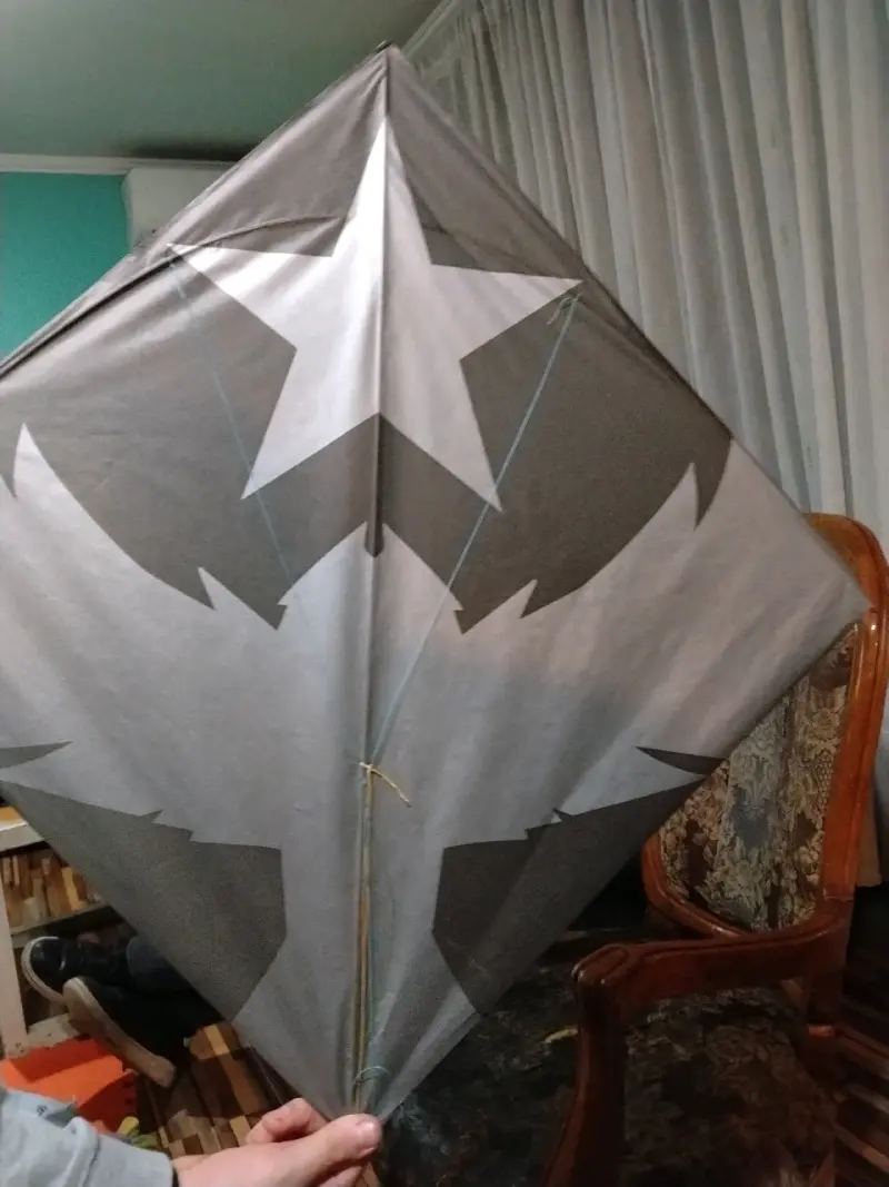 Cometas de diseño personalizado para volar - 4