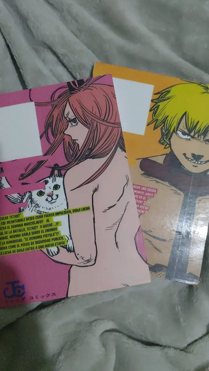 Mangas Chainsaw Man Volúmenes 1 y 2 - 3