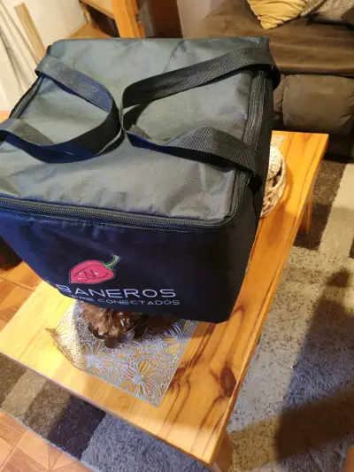Bolsa térmica Abaneros para alimentos - miniatura 1