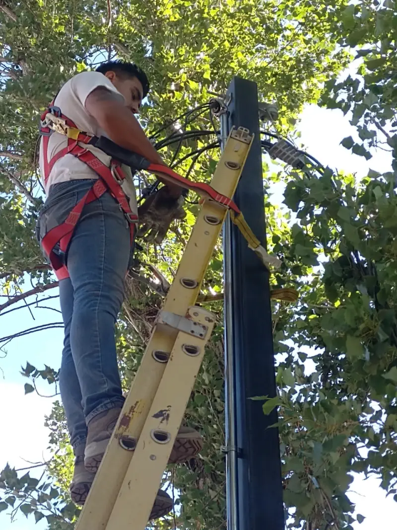 Instalaciones electricas - 6
