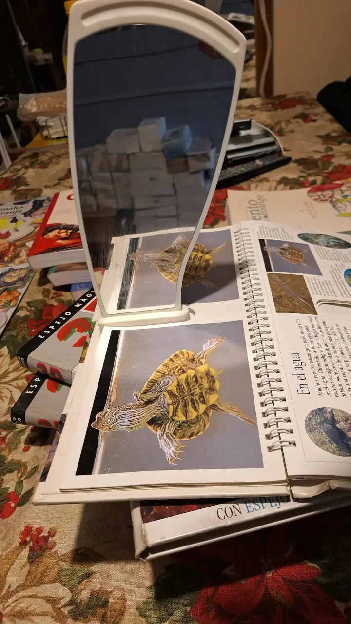 Colección de libros 3D con fotografías tridimensionales - 3