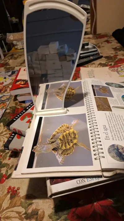 Colección de libros 3D con fotografías tridimensionales - miniatura 3