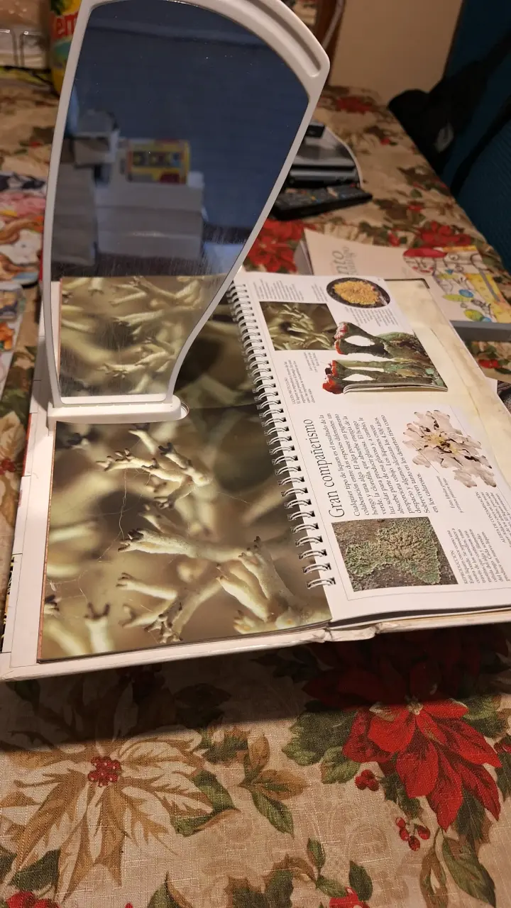Colección de libros 3D con fotografías tridimensionales - 4