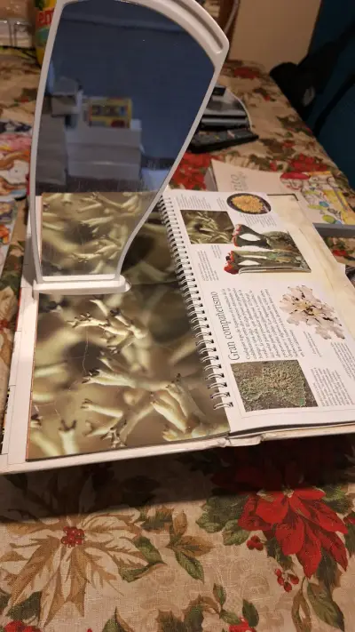 Colección de libros 3D con fotografías tridimensionales - miniatura 4