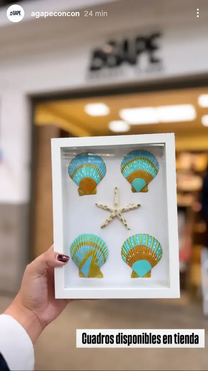 Cuadro decorativo con conchas pintadas a mano - 1