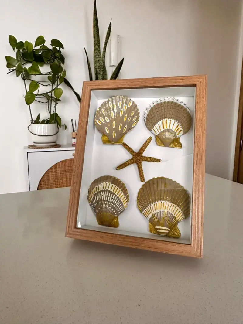 Cuadro decorativo con conchas marinas enmarcadas - 3