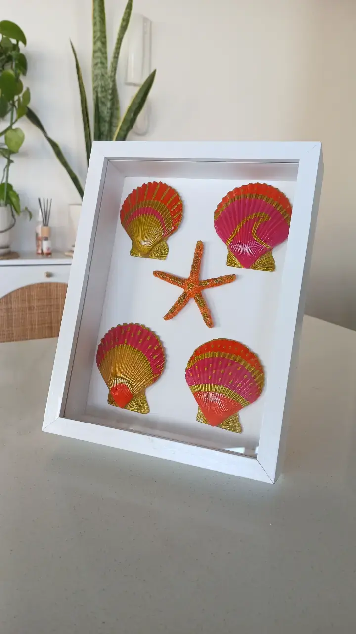 Cuadro decorativo con conchas marinas enmarcadas - 4