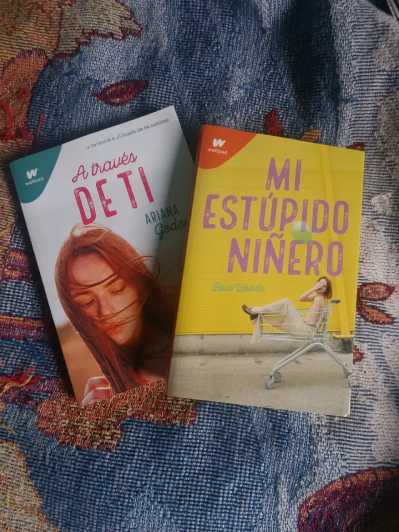 A través de ti y mi estupido niñero