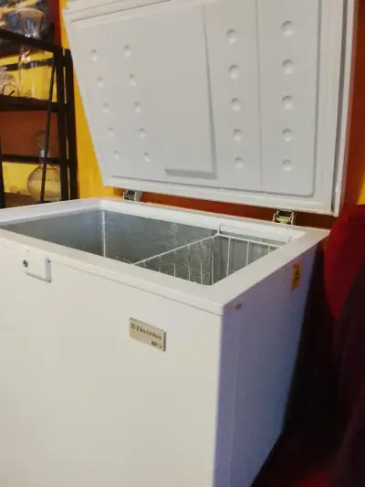 Congelador horizontal Electrolux A+ - miniatura 2