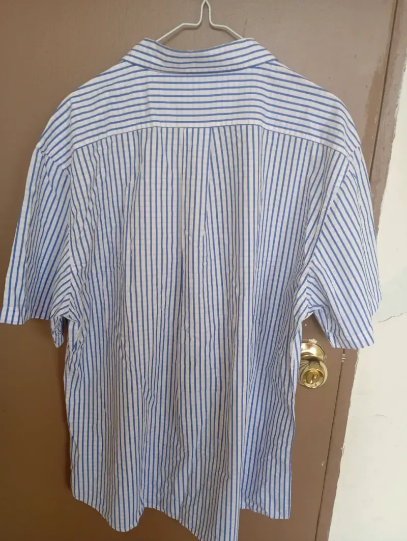 Camisa a rayas azul y blanca La Martina - 2