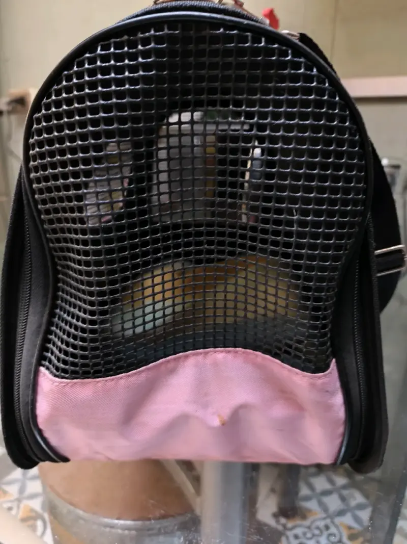 Transportadora de mascotas rosa con ventilación - 2