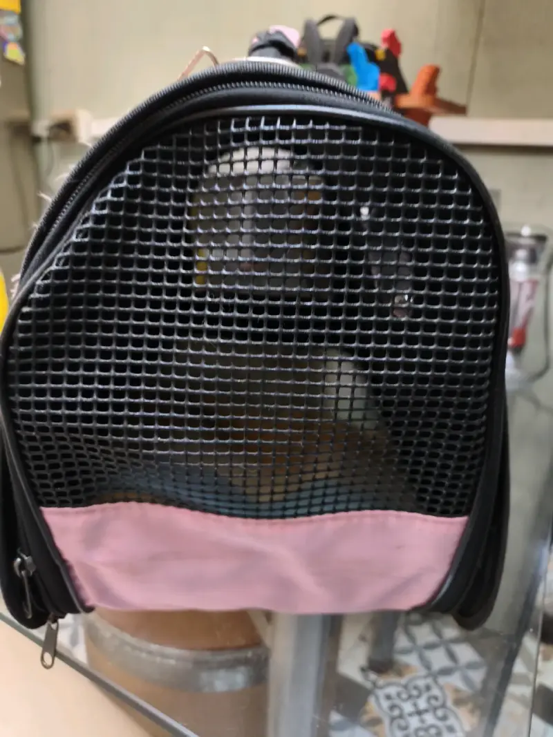 Transportadora de mascotas rosa con ventilación - 4