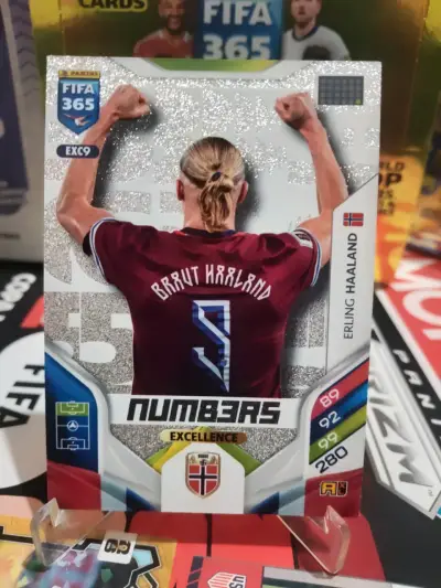 Tarjeta Coleccionable FIFA 365 Erling Haaland - miniatura 1