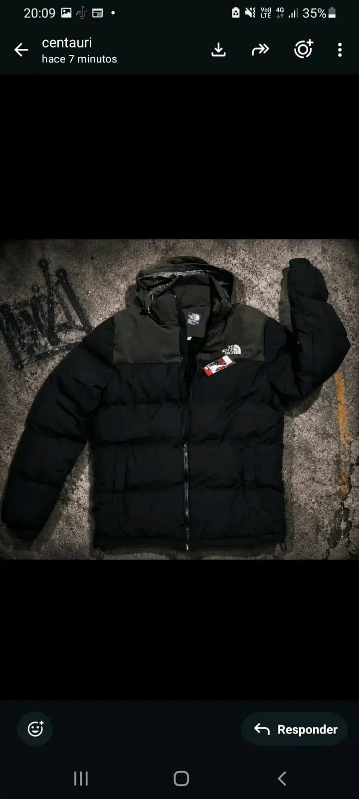 Chaqueta The North Face acolchada para invierno - 1