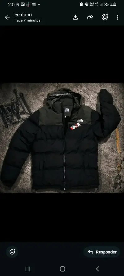 Chaqueta The North Face acolchada para invierno - miniatura 1
