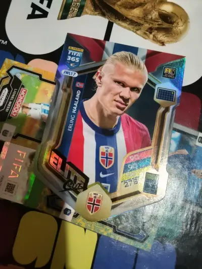 Tarjeta de colección Erling Haaland FIFA 365 - miniatura 5