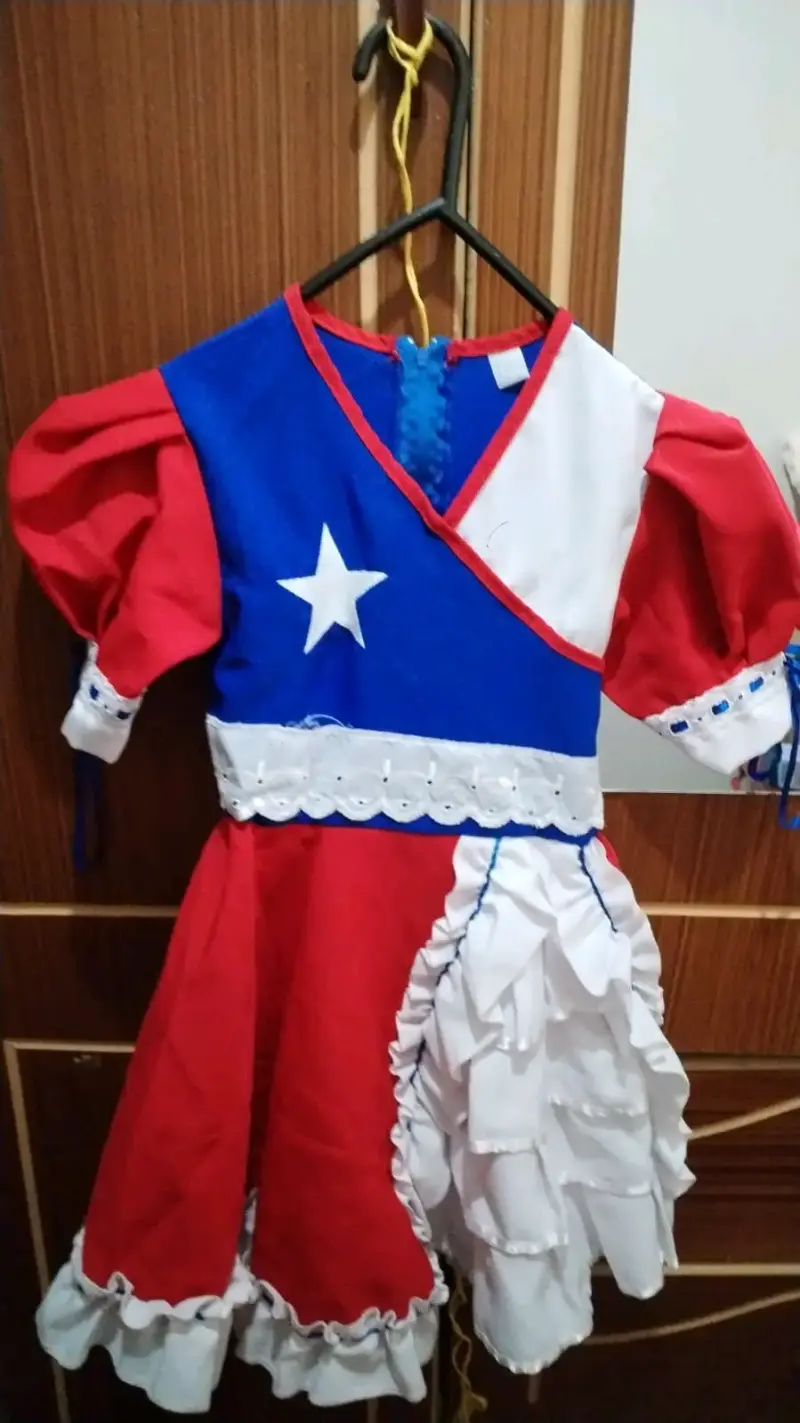 Vestido de huasa chilena para niña - 2