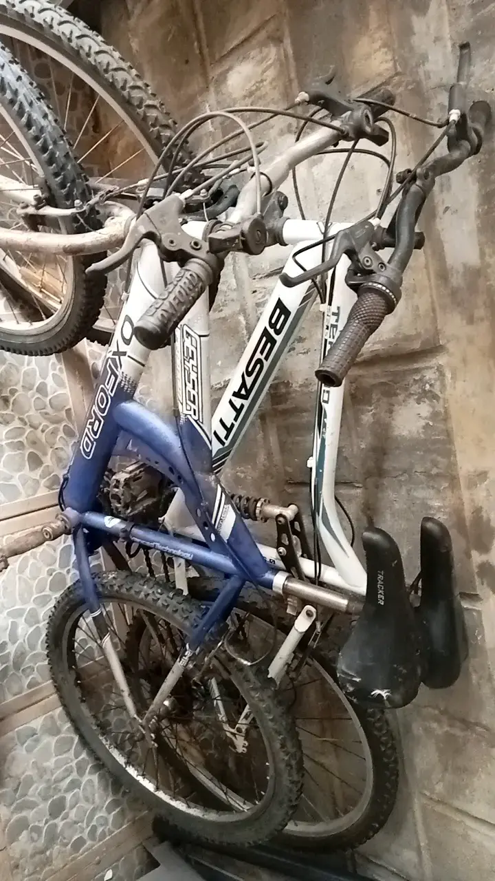Bicicleta de montaña Oxford y Besatti usadas - 1
