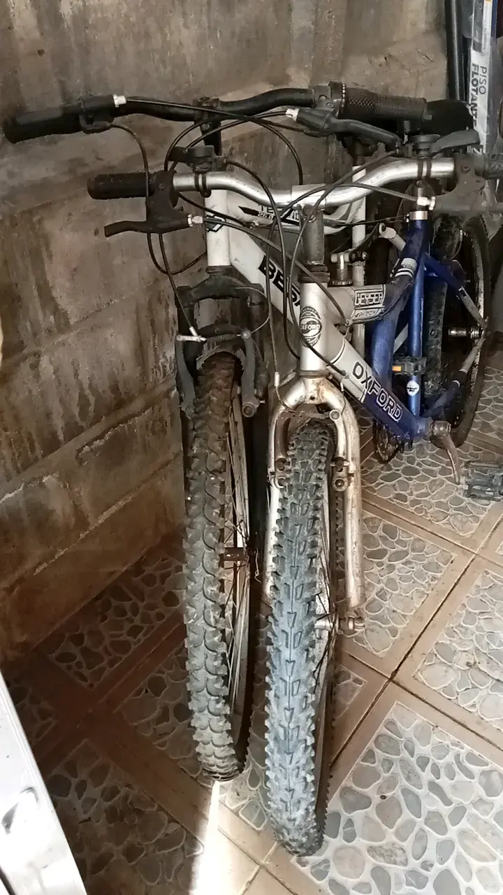 Bicicleta de montaña Oxford y Besatti usadas - 2
