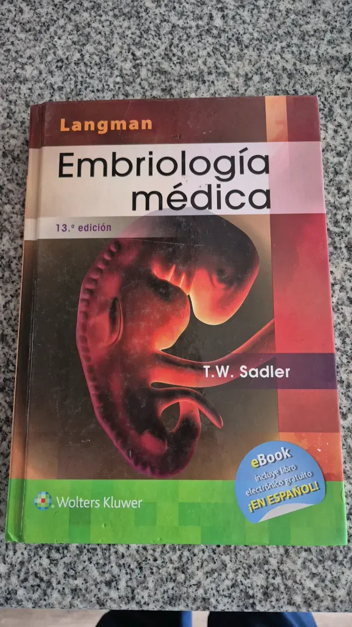 Libro Langman Embriología Médica 13ª Edición - 1