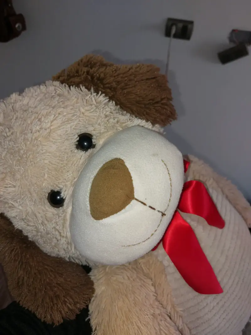 Peluche de perro grande con lazo rojo - 4
