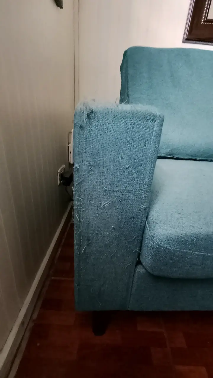 Sofá de Tela verde (gato no incluído 🐱) - 5