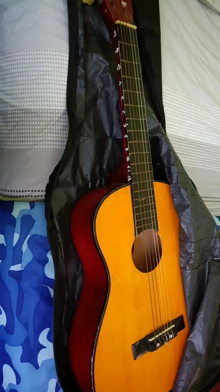 Guitarra clásica Monterrey MRR-34 con funda - 1