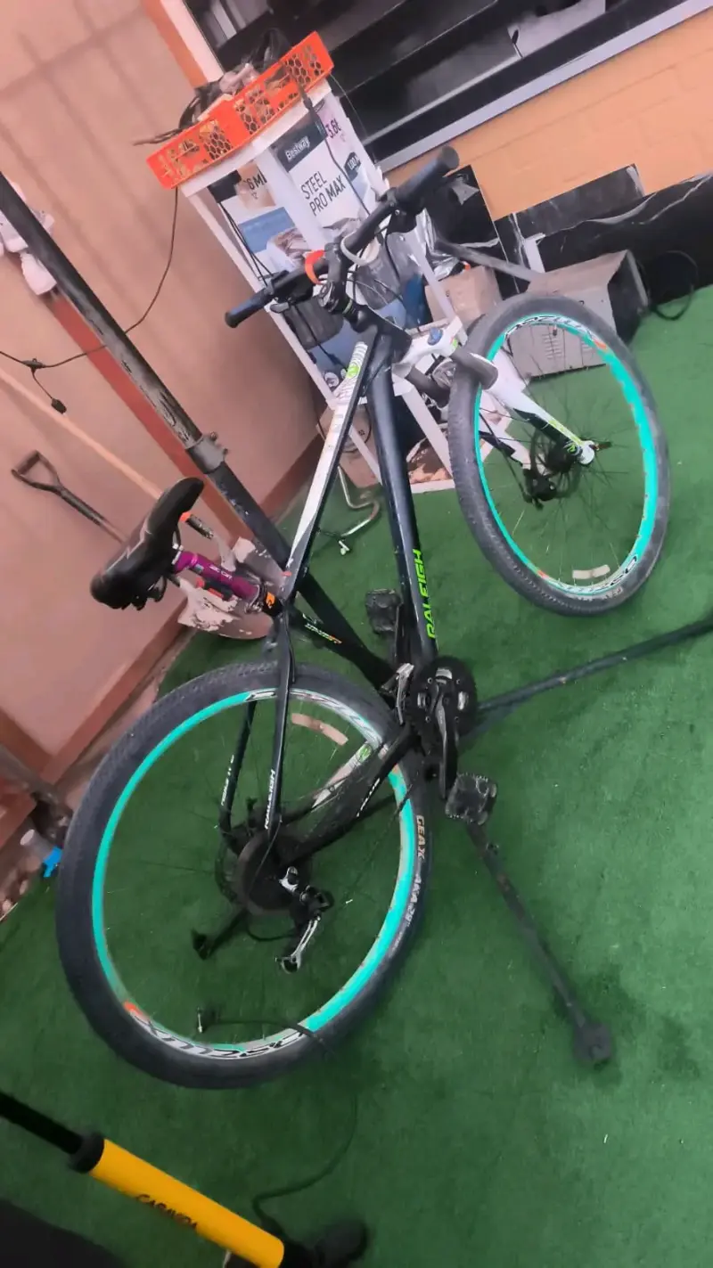 Bicicleta de montaña Raleigh con llantas verdes - 2
